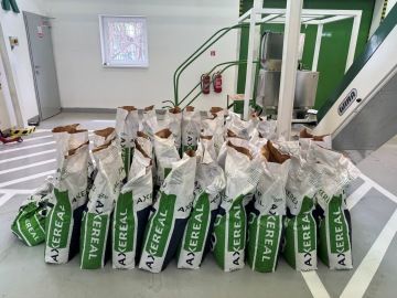 AXEREAL Central Europe